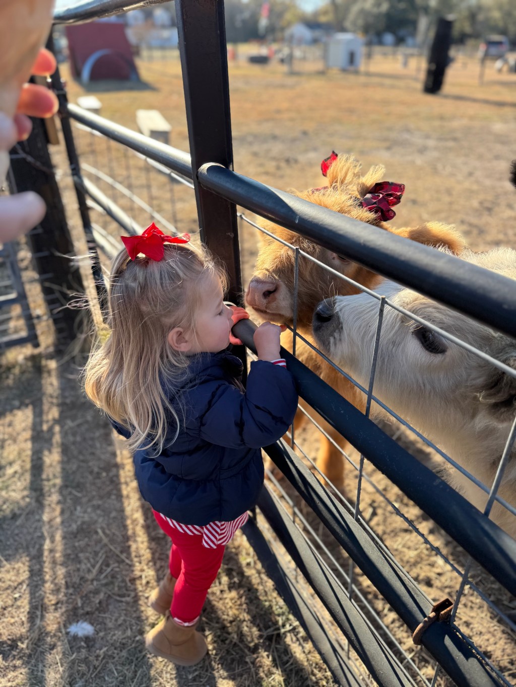 A Magical Visit to Agape Farm of Watha